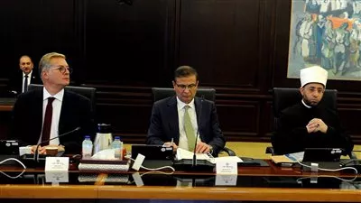 الحكومة تمنح «نيفير منيا» الرخصة الذهبية لإنشاء محطة طاقة شمسية