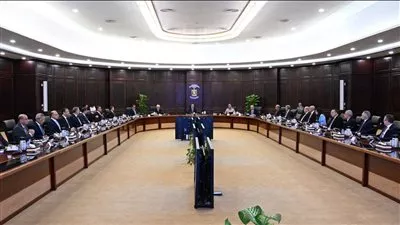 مجلس الوزراء يوافق على إقامة مشروع جديد بنظام المناطق الحرة الخاصة
