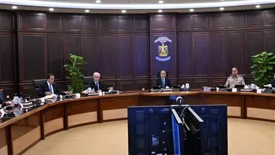 تخصيص قطعة أرض لإقامة لوحة توزيع كهرباء جهد متوسط بمحافظة البحر الأحمر