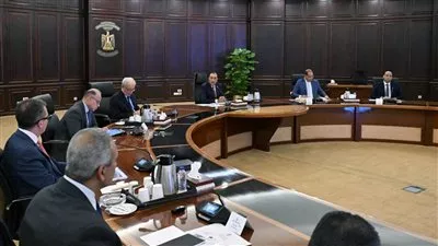 رئيس الوزراء يتابع مستجدات إعداد البرنامج الوطني للتحول الاقتصادي