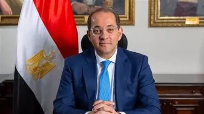 وزير المالية: إقبال ملحوظ على استخدام «موبايل أبلكيشن التصرفات العقارية»