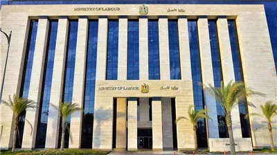 الحكومة تطلق القواعد العامة للائحة تنظيم العمل بشركات القطاع الخاص