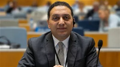 محمد عادل متحدثًا رسميًا باسم رئاسة مجلس الوزراء