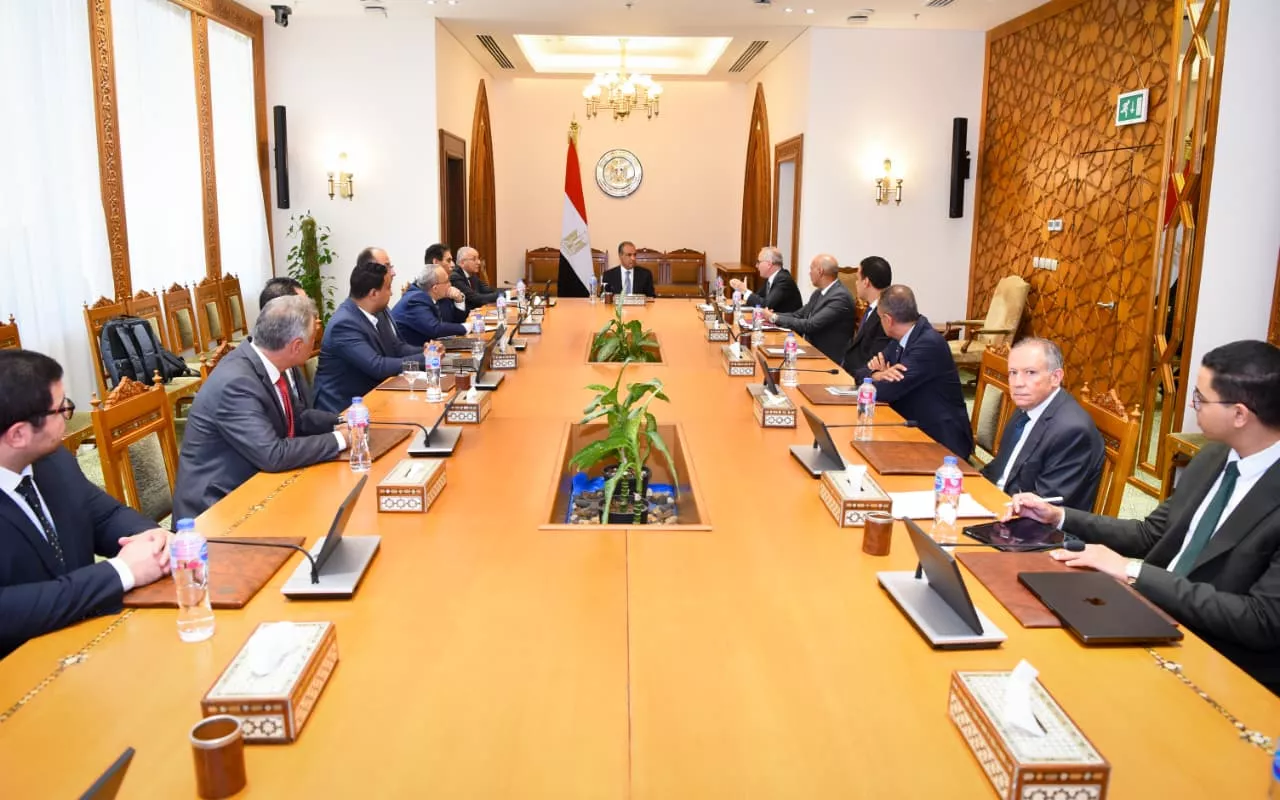 متابعة إنشاء منصة للخدمات القنصلية للمصريين بالخارج