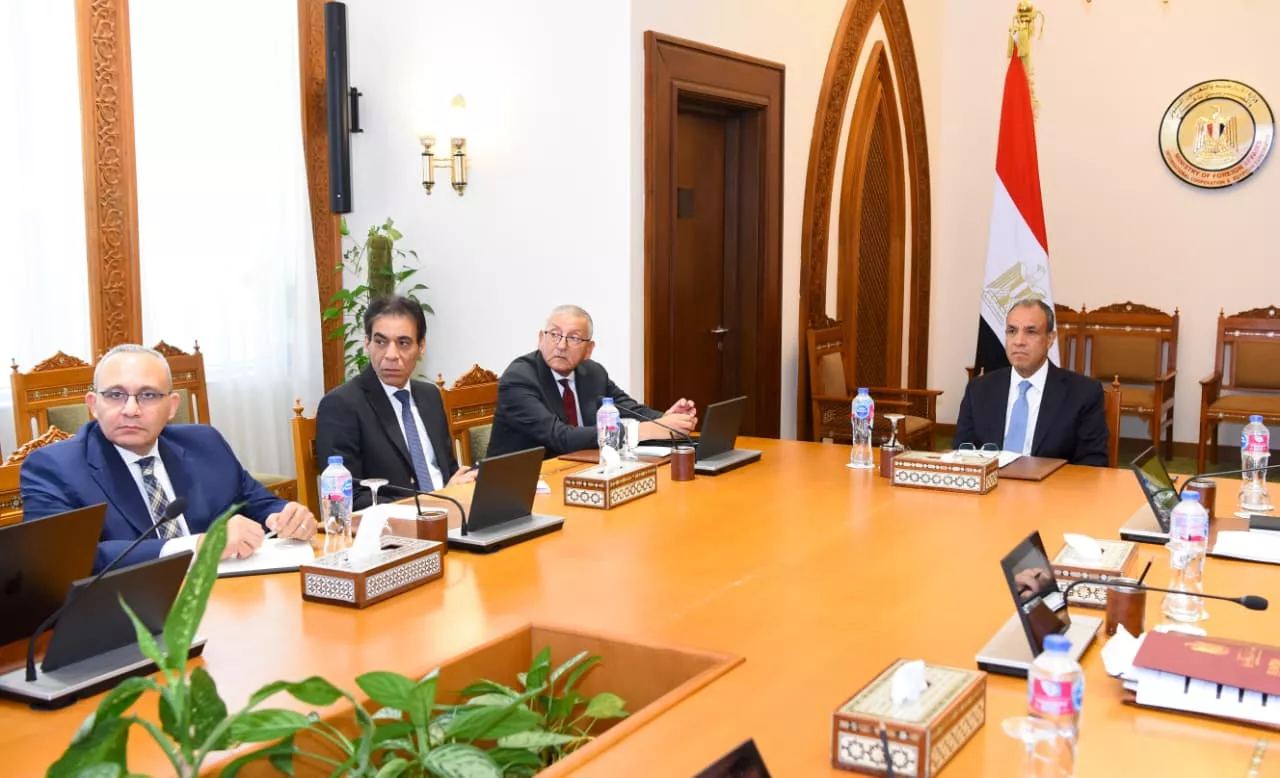 متابعة إنشاء منصة للخدمات القنصلية للمصريين بالخارج