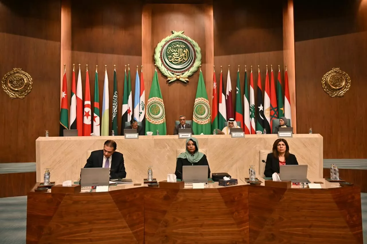 اجتماعات الدورة 118 للمجلس الاقتصادي والاجتماعي