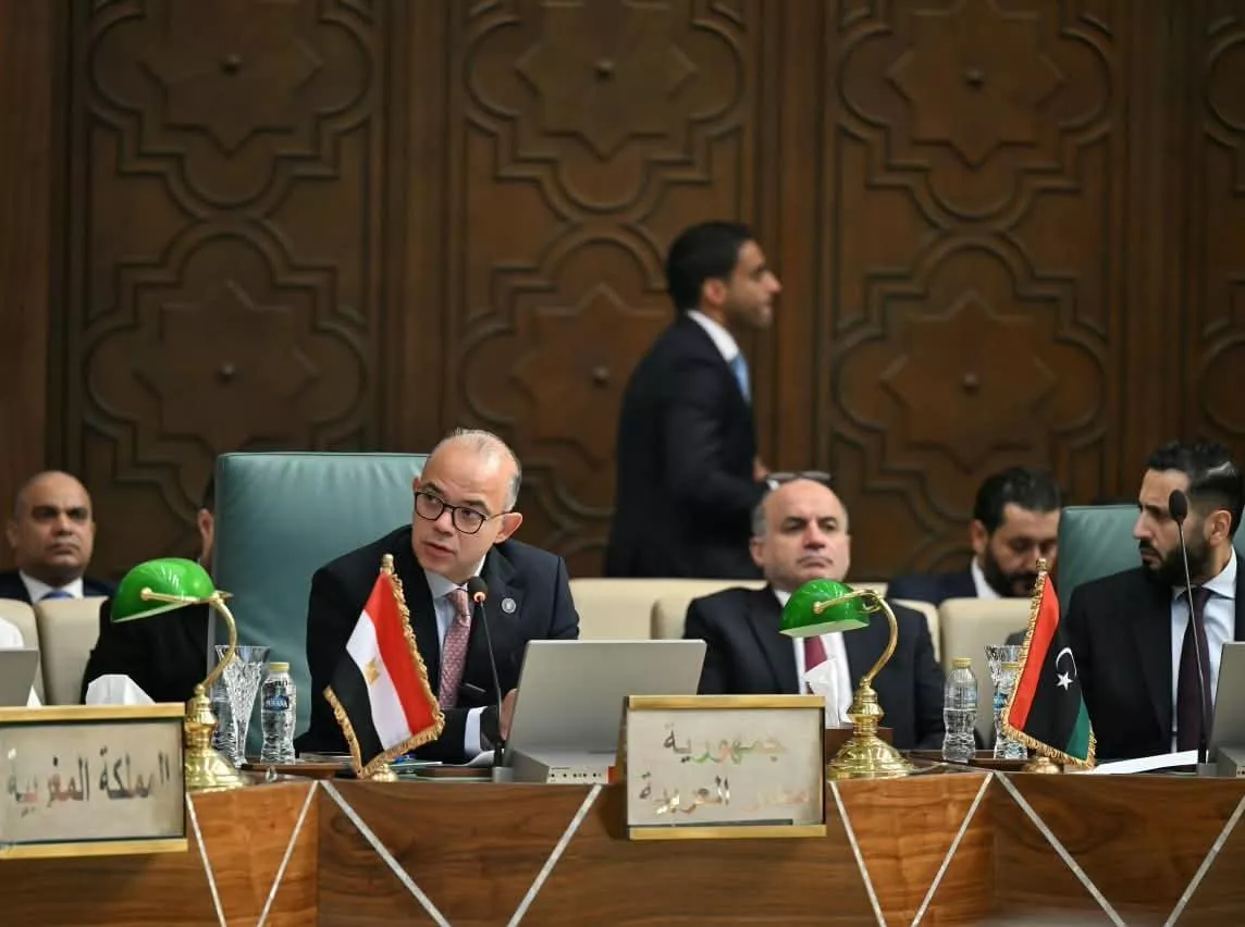 اجتماعات الدورة 118 للمجلس الاقتصادي والاجتماعي
