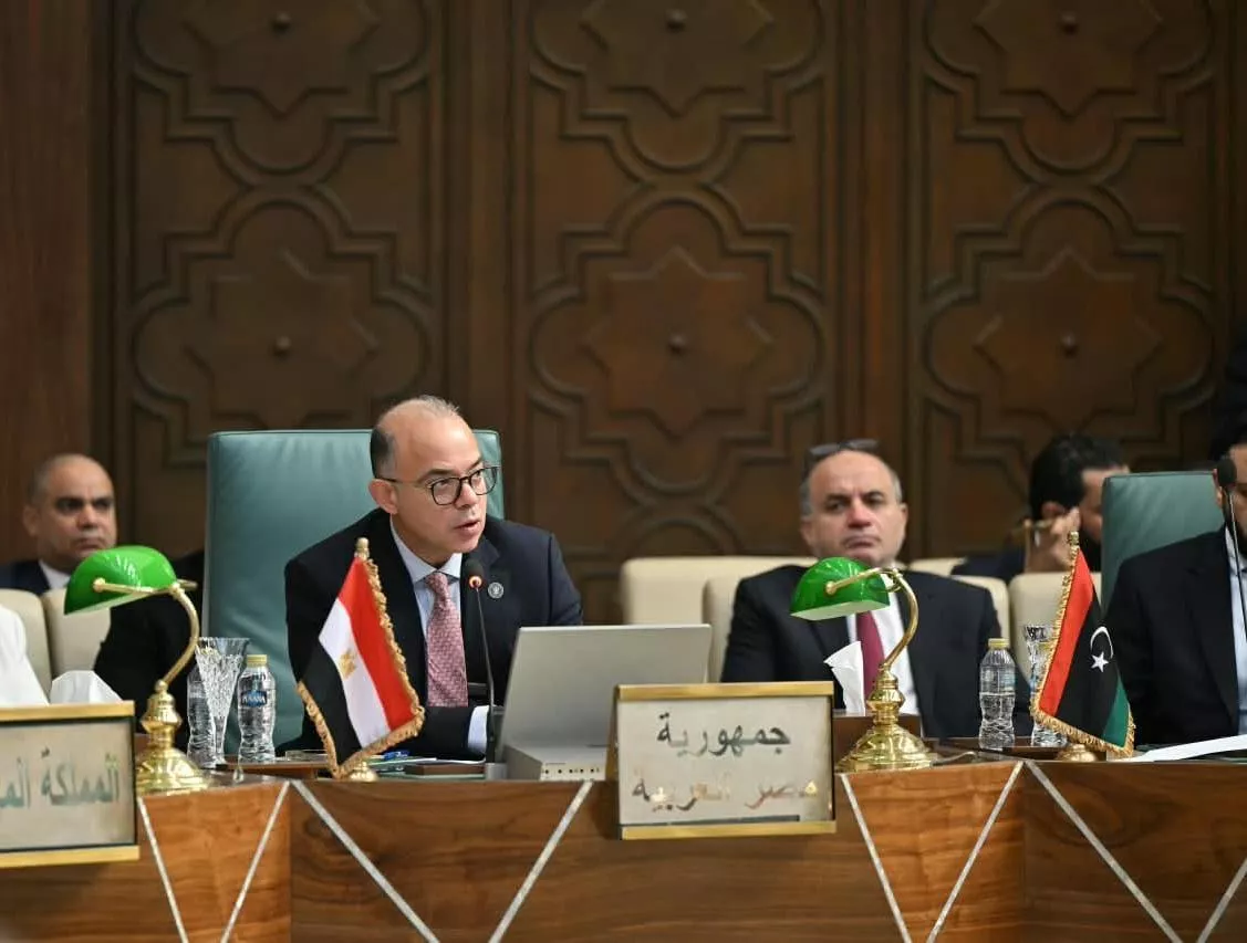 اجتماعات الدورة 118 للمجلس الاقتصادي والاجتماعي