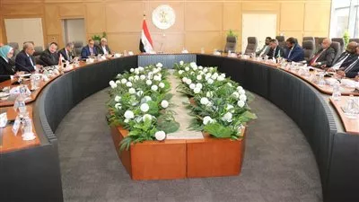 مصر والسودان تبحثان مستجدات المرحلة الثانية لمشروع خط الربط الكهربائي