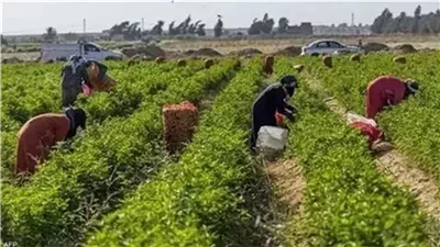 تعديل النظام الداخلي لـ 3 جمعيات تعاونية زراعية في محافظتي البحيرة والغربية