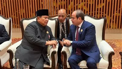 الرئيس السيسي يبحث مع نظيره الإندونيسي العلاقات الثنائية ومستجدات القضايا الإقليمية والدولية