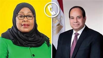 الرئيس السيسي يؤكد أهمية تعزيز التعاون المشترك مع تنزانيا في مختلف المجالات