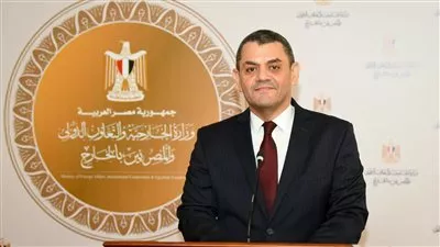 تعيين نادر زكي متحدثًا رسميًا باسم وزارة الخارجية