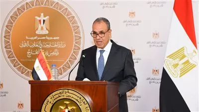 وزير «الخارجية» يستقبل رئيس البنك الأفريقي للتصدير والاستيراد