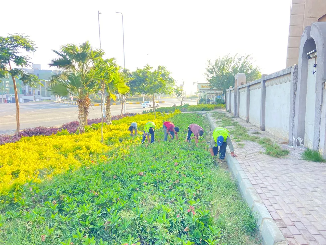 مشروعات الطرق والمرافق بمدينتي الشيخ زايد وحدائق أكتوبر