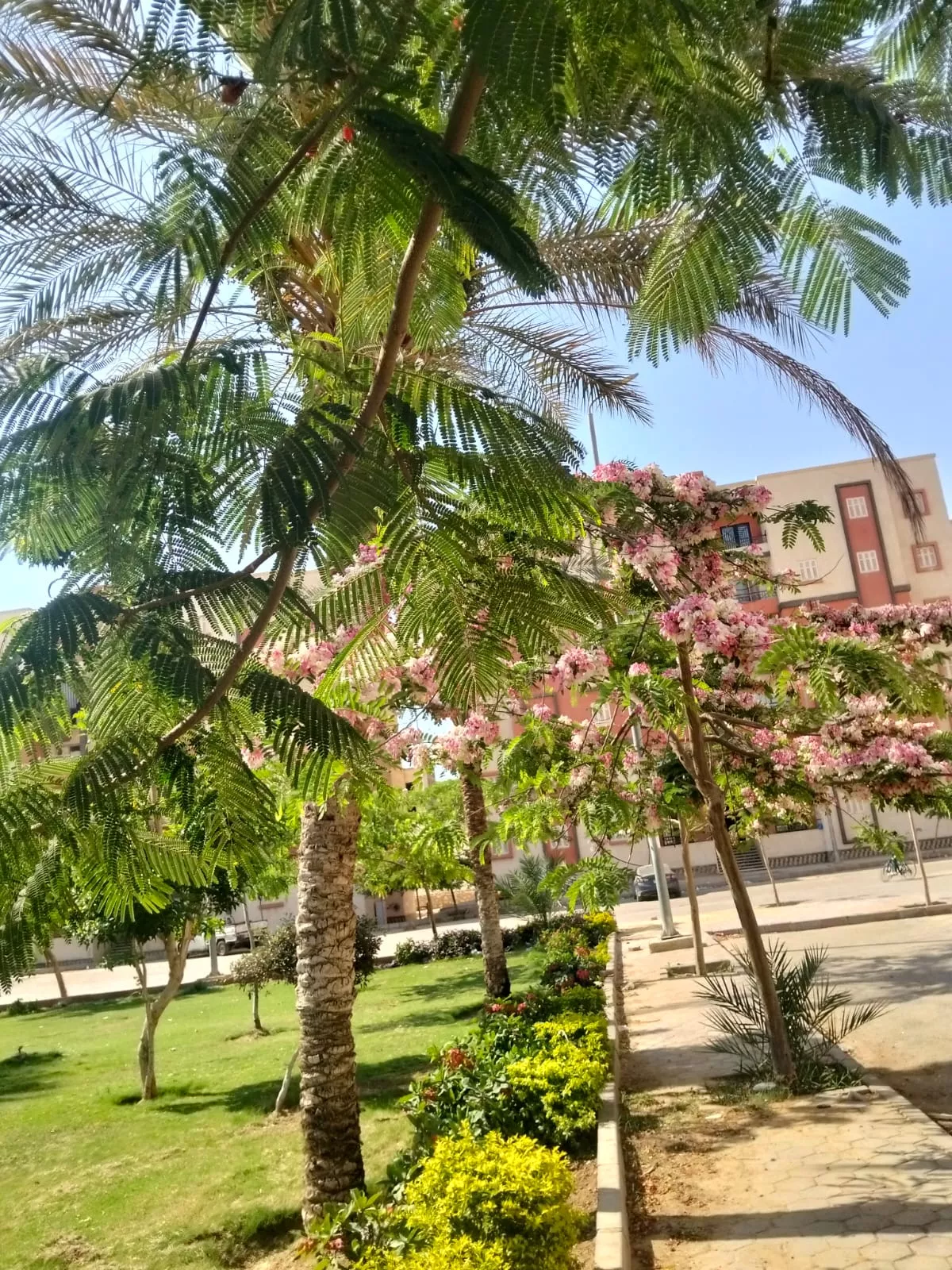 مشروعات الطرق والمرافق بمدينتي الشيخ زايد وحدائق أكتوبر