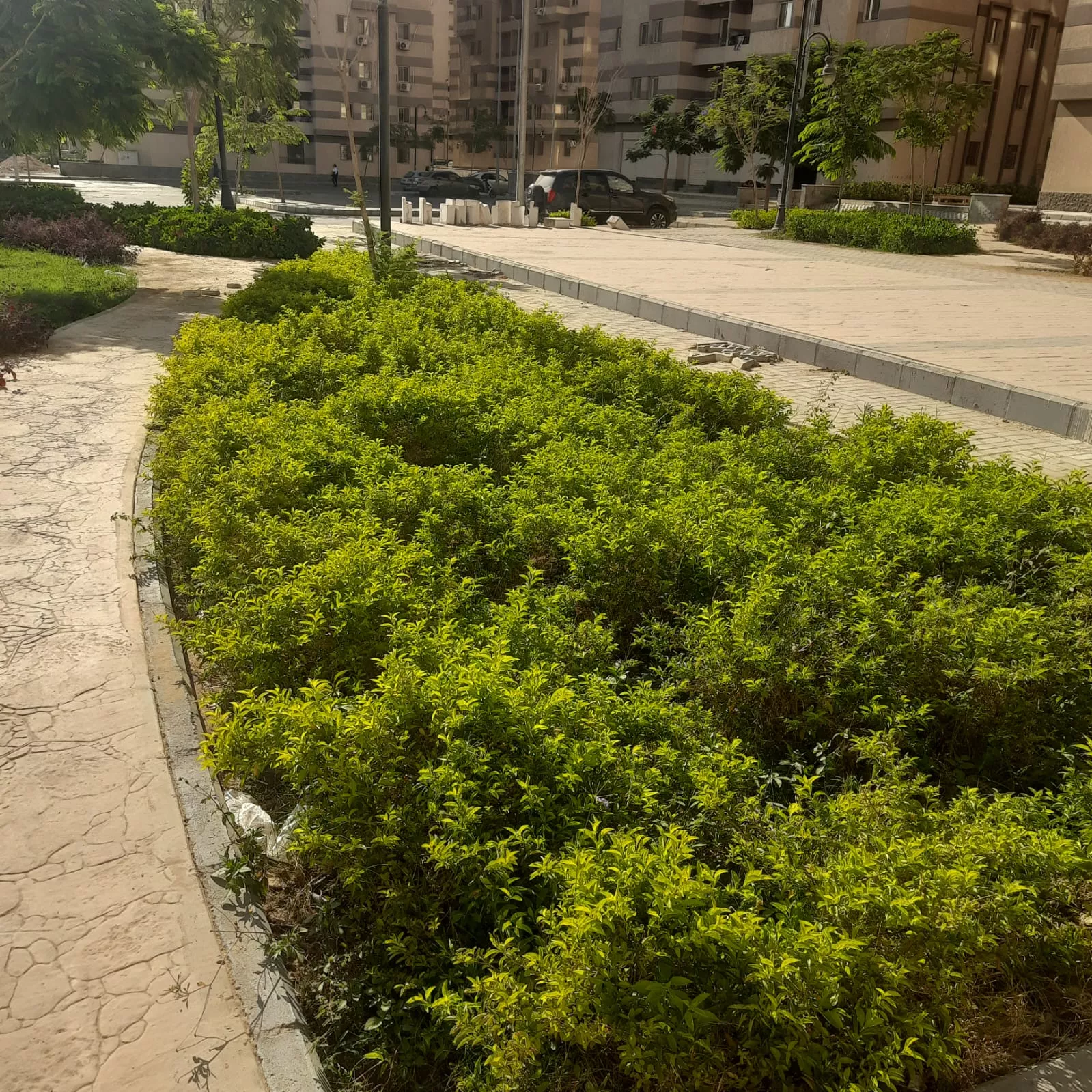مشروعات الطرق والمرافق بمدينتي الشيخ زايد وحدائق أكتوبر
