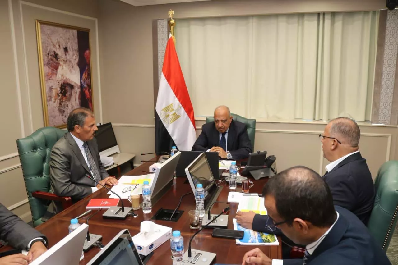 وزير الكهرباء يجتمع مع الاستشاري الدولي