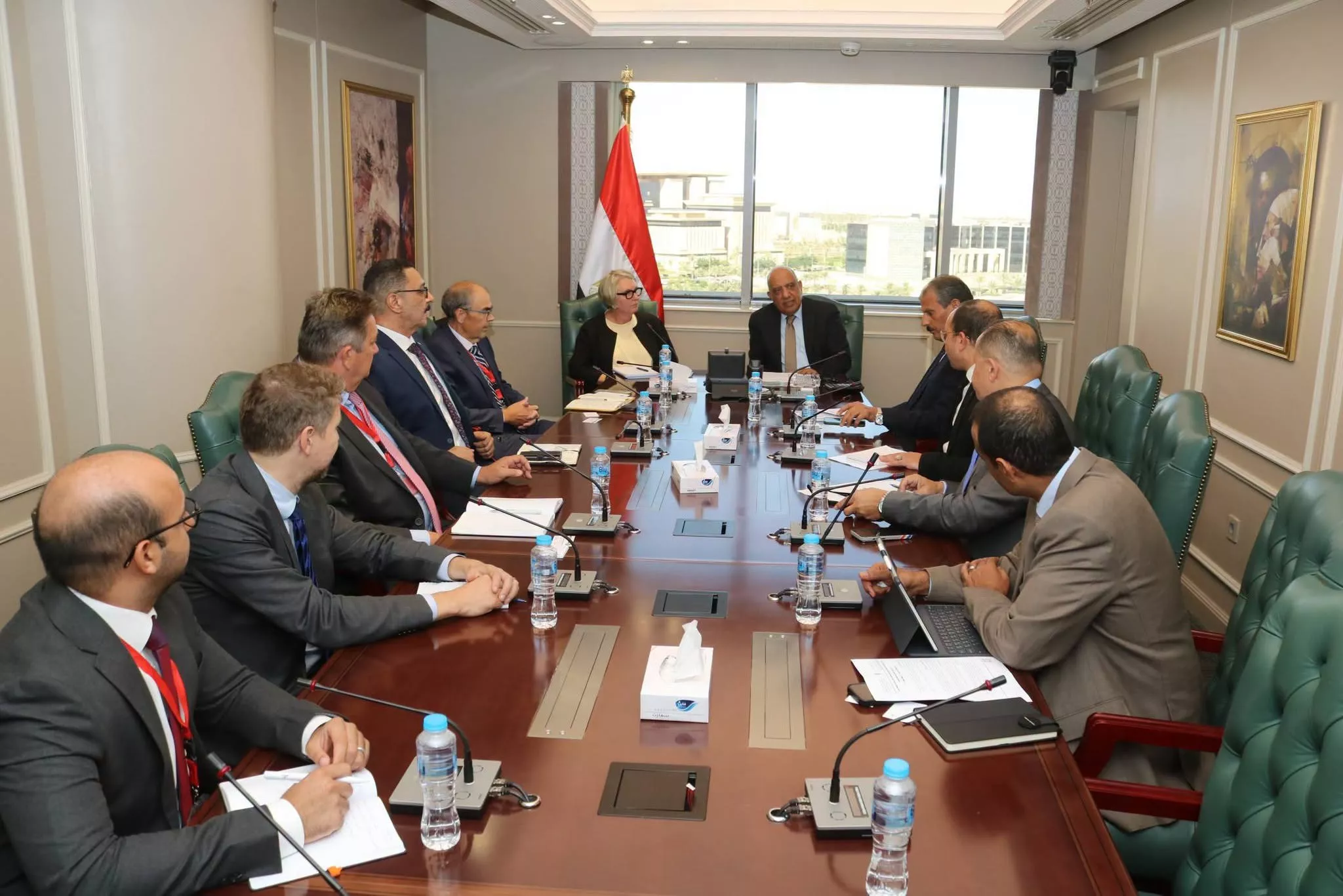 وزير الكهرباء يجتمع مع سفيرة فنلندا ووفدًا من شركة وارتسيلا الفنلندية