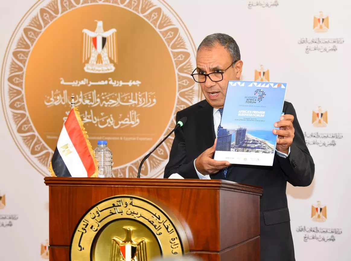الدكتور بدر عبد العاطي وزير الخارجية 