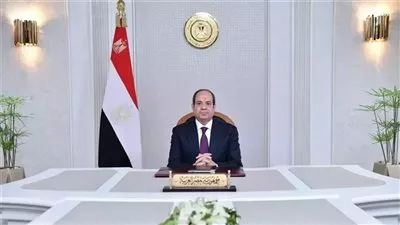 الرئيس السيسي يبحث زيادة استثمارات «أورنج» العالمية في السوق المصرية