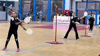 وزارة «الرياضة» تقر تعديل لائحة النظام الأساسي للاتحاد المصري لكرة السرعة