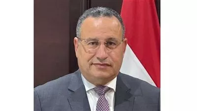 إصدار ضوابط شغل وظائف التمثيل الثقافي بمكاتب ومراكز البعثات المصرية بالخارج