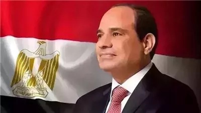 الرئيس السيسي يقرر تعيين رؤساء 8 محاكم استئناف