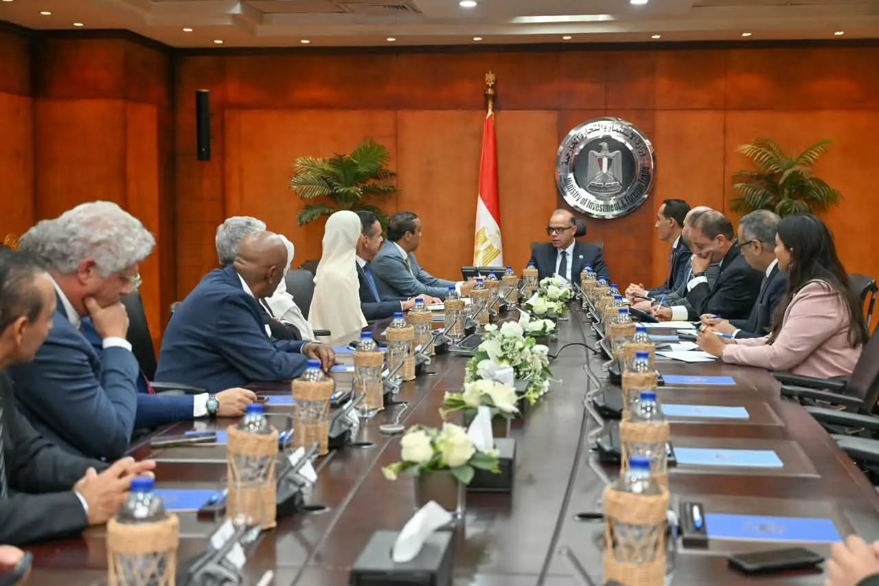 وزير الاستثمار يلتقي رئيس مجموعة الفطيم الإماراتية