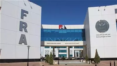 إلزام شركات التمويل الاستهلاكي بربط قاعدة البيانات مع هيئة «الرقابة المالية»