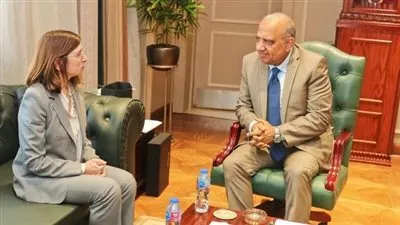 مصر وقبرص تبحثان سبل تعزيز التعاون وزيادة الاستثمارات بمجالات الكهرباء والطاقة المتجددة