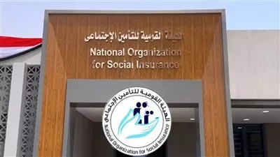 هيئة «التأمينات الاجتماعية» تصدر سندات خزانة بقيمة 100 مليار جنيه