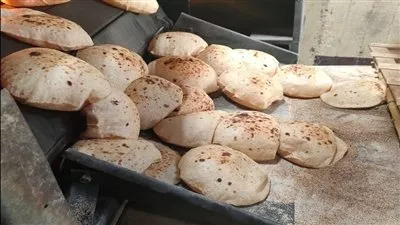 المصدر