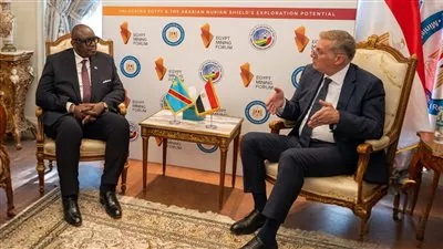 مصر والكونغو الديمقراطية تبحثان تعزيز التعاون في قطاع التعدين