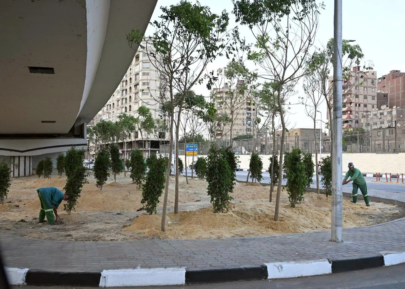 مدبولي يتفقد عدد من مشروعات الزراعة والتشجير بمحافظة القاهرة