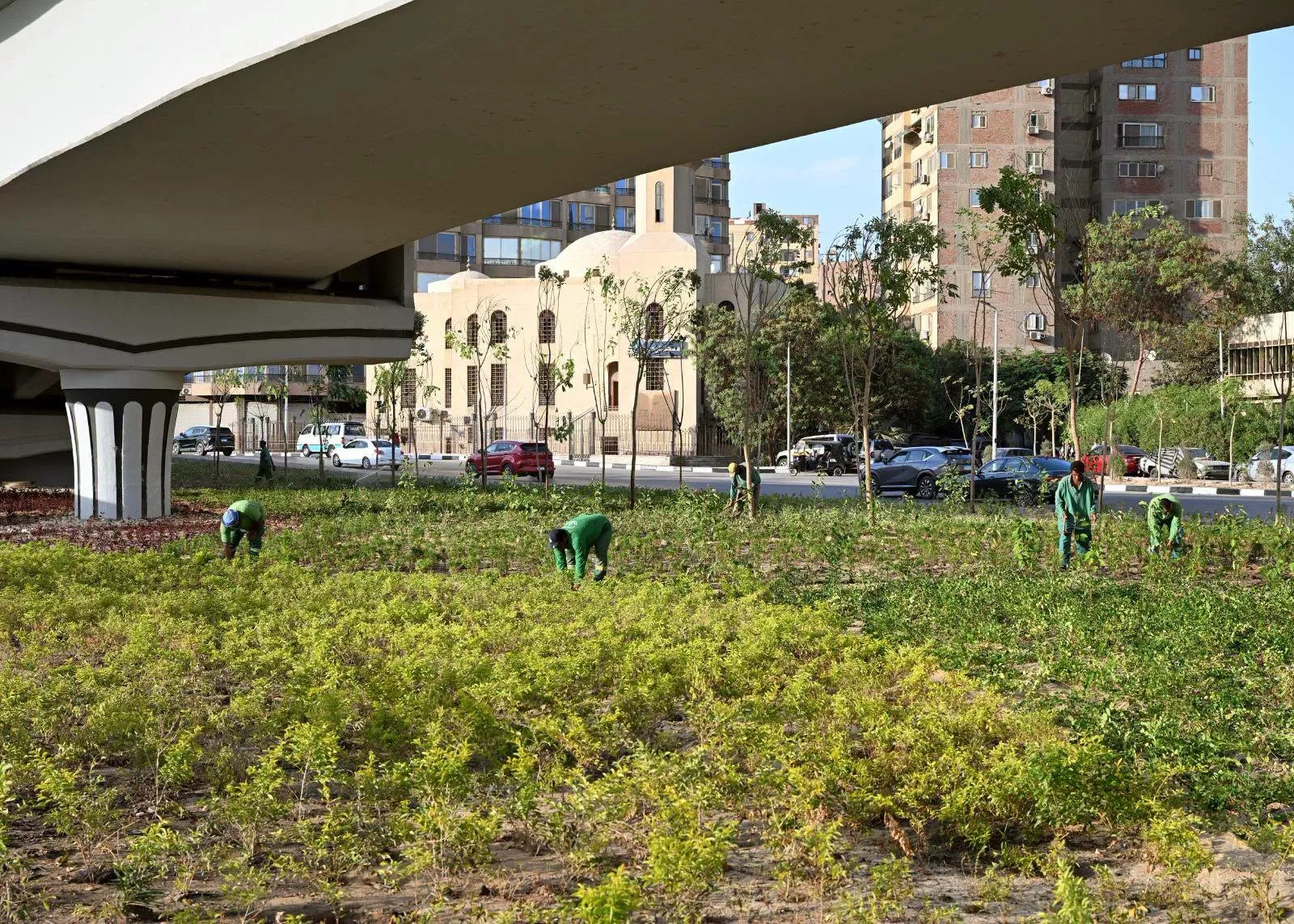 مدبولي يتفقد عدد من مشروعات الزراعة والتشجير بمحافظة القاهرة