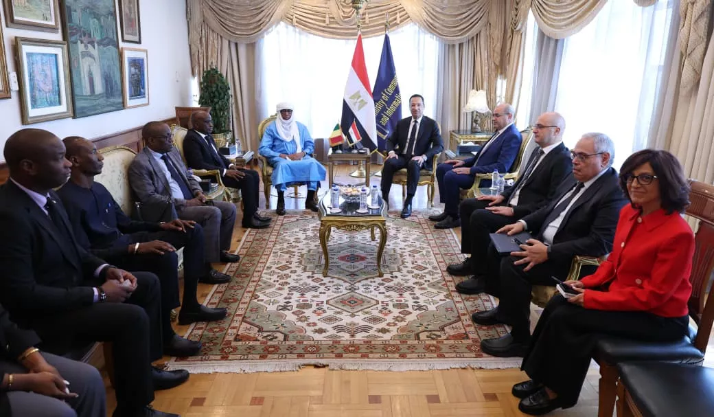 وزير الاتصالات يستقبل نظيره المالي