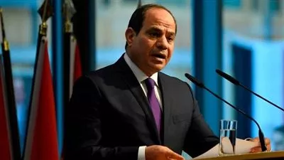 الرئيس السيسي يشارك في القمة التنسيقية الثامنة للاتحاد الإفريقي بالعلمين.. غدًا