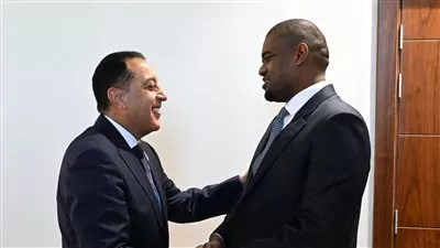 مصر وتنزانيا تبحثان التعاون لإنشاء أرصفة جديدة بمشروع توسعة ميناء دار السلام