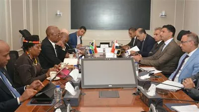 مصر وجنوب إفريقيا تبحثان إقامة مشروعات مشتركة بمجالات الحديد والصلب وسبائك المنجنيز