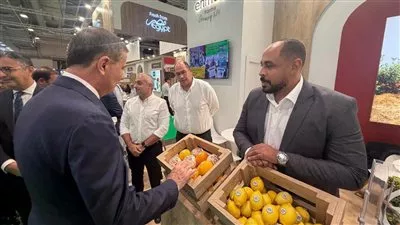 المصدر