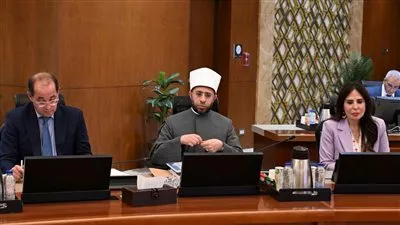 الحكومة تقر طلب التصرف بنظام الترخيص بالانتفاع بفندق بورسعيد لصالح «بيك الباتروس»