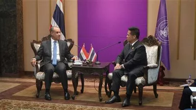 وزير «الخارجية» يبحث فرص التصنيع المشترك مع تايلاند بقطاعات الإطارات والبتروكيماويات