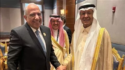 مصر والسعودية تبحثان استعدادات بدء تشغيل خط الربط الكهربائي