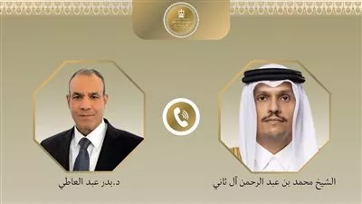 مصر وقطر تؤكدان ضرورة وقف الأعمال العدائية ضد السعودية