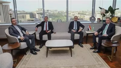 المصدر