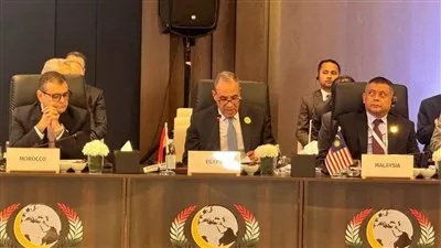 مصر تؤكد أهمية تعزيز التنسيق بين دول منظمة التعاون الإسلامي لمواجهة التحديات