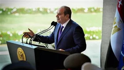 الرئيس السيسي يطلب تفويضًا من مجلس النواب للدفاع عن السعودية