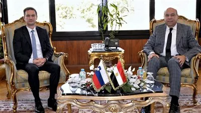 المصدر