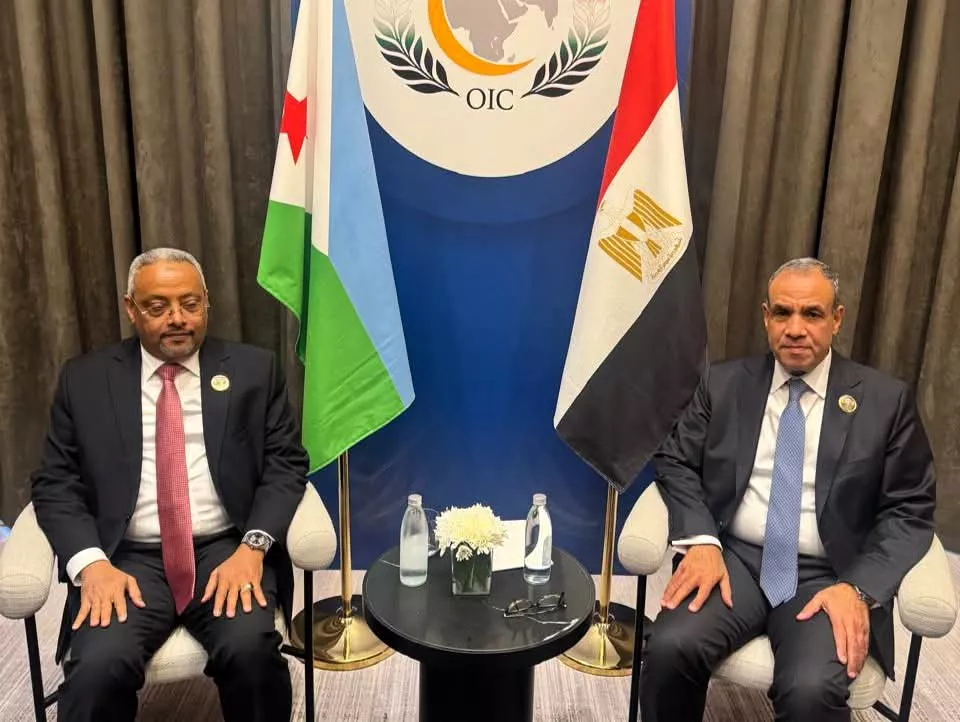 وزير الخارجية ونظيره الجيبوتي